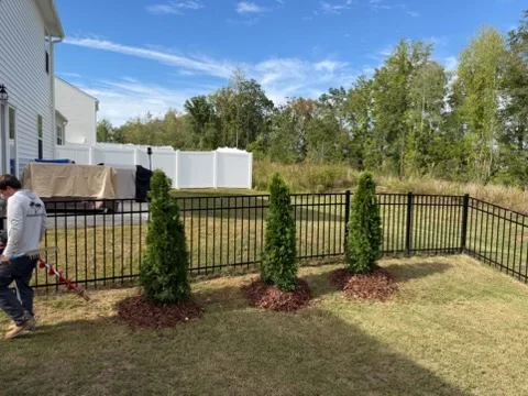 Black aluminum fence with arborvitae plantings and mulch bed installation in residential yard